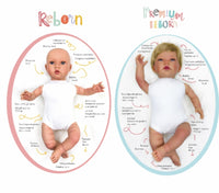 Premium Sandra Reborn 2024 Catalog (0240 and 0241)